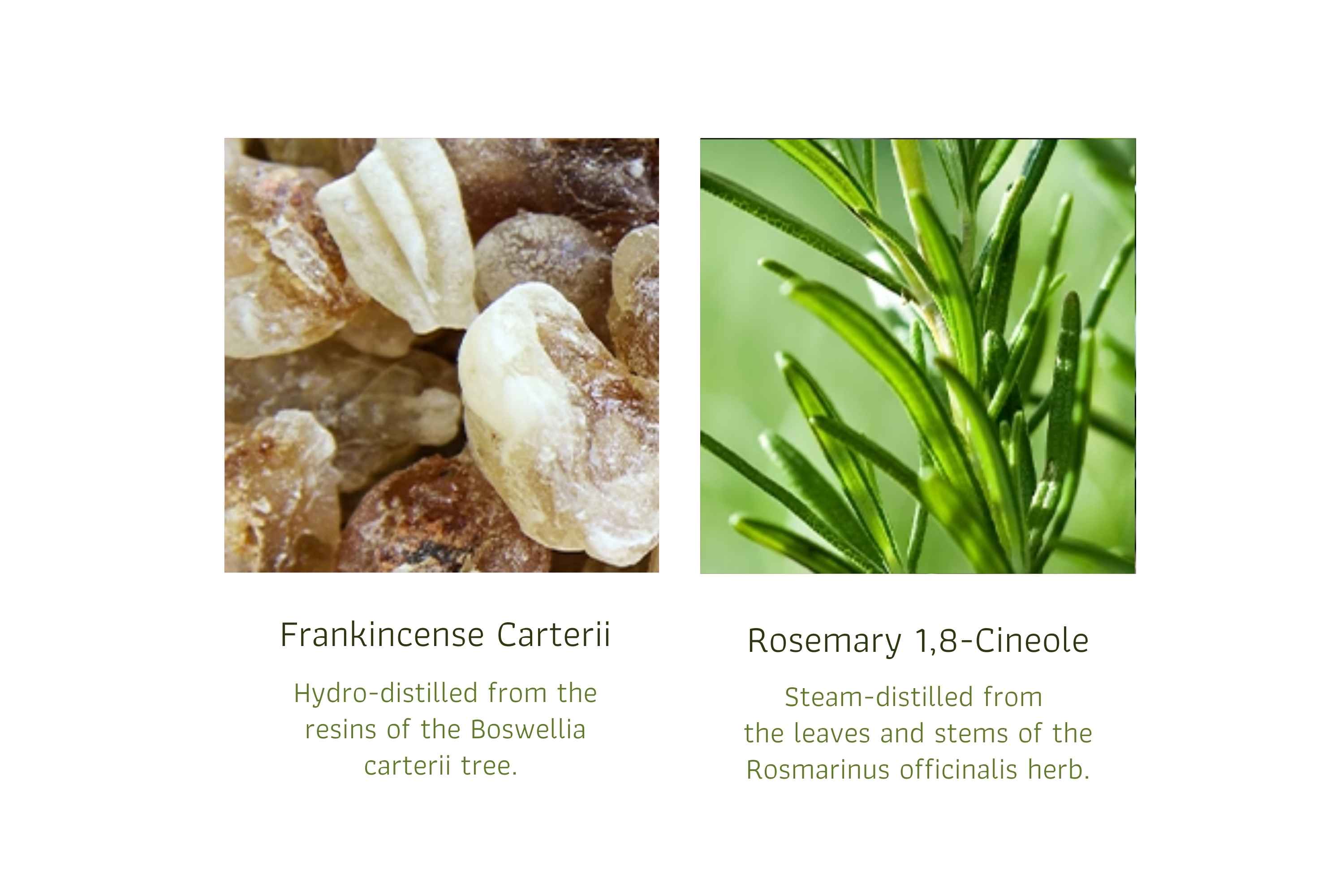 Multi Germ Fighter (2)