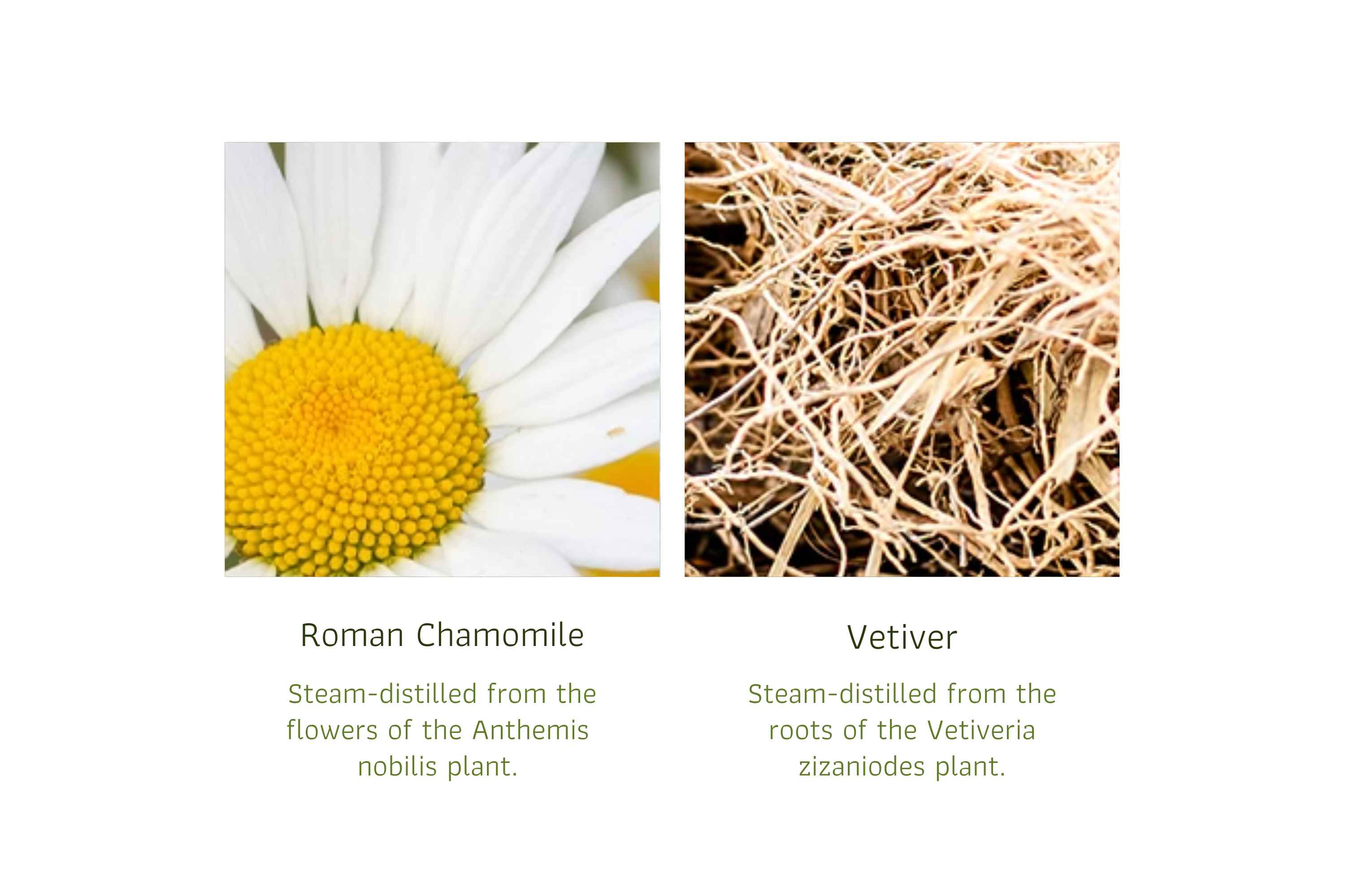 Monster Away Spray (2)