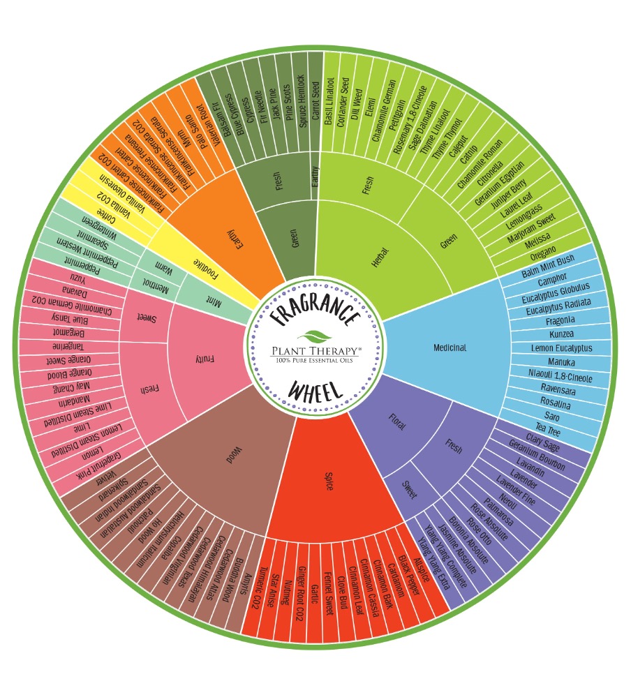 Essential oil fragrance wheel showing different aromatherapy scent families and their relationships.