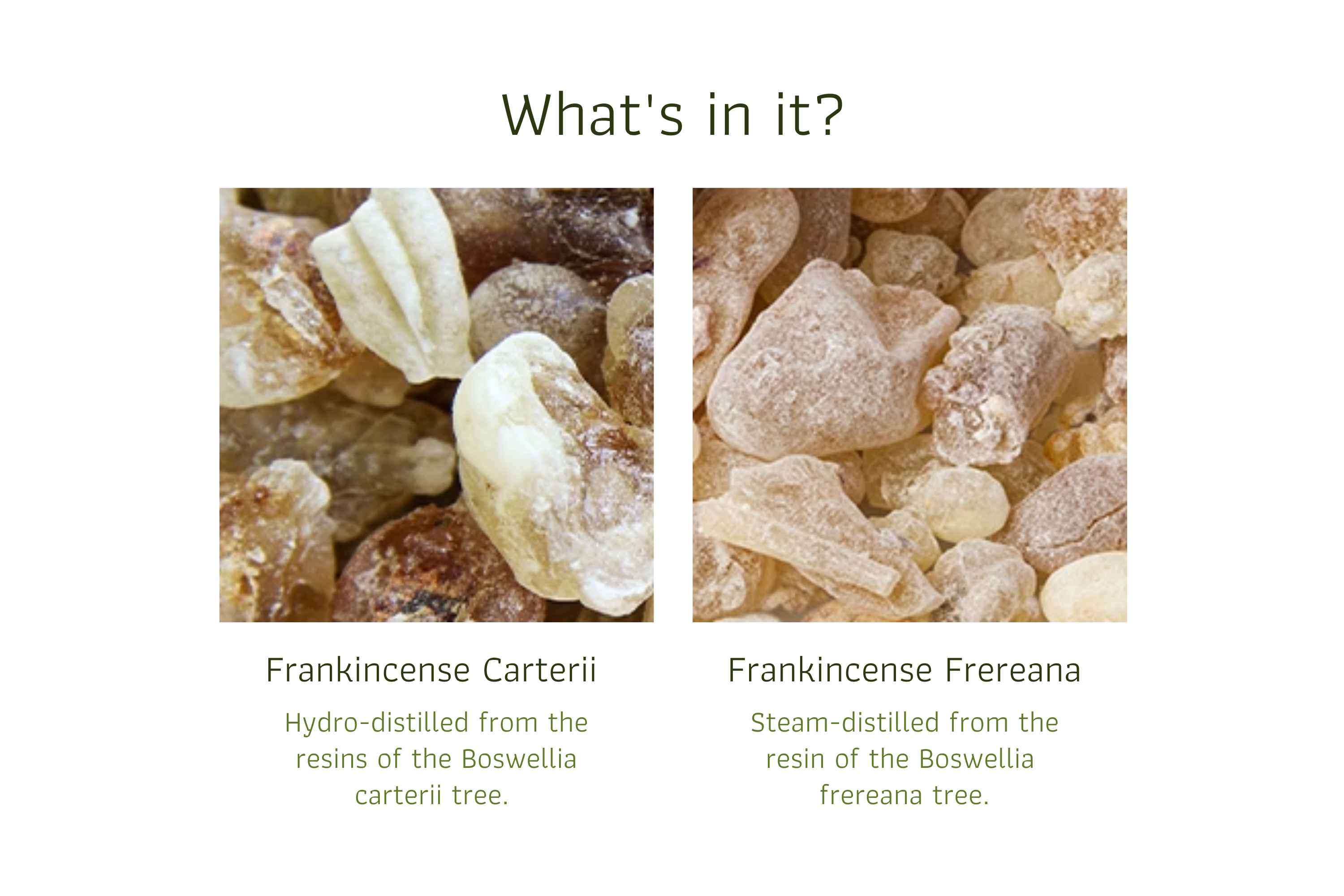 Frankincense & Argan Oil