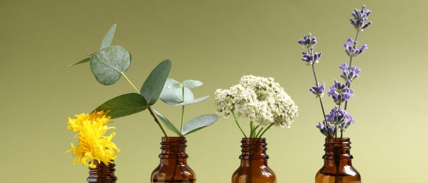 Best Essential Oil Brands in Malaysia | How to Choose Quality Essential Oils