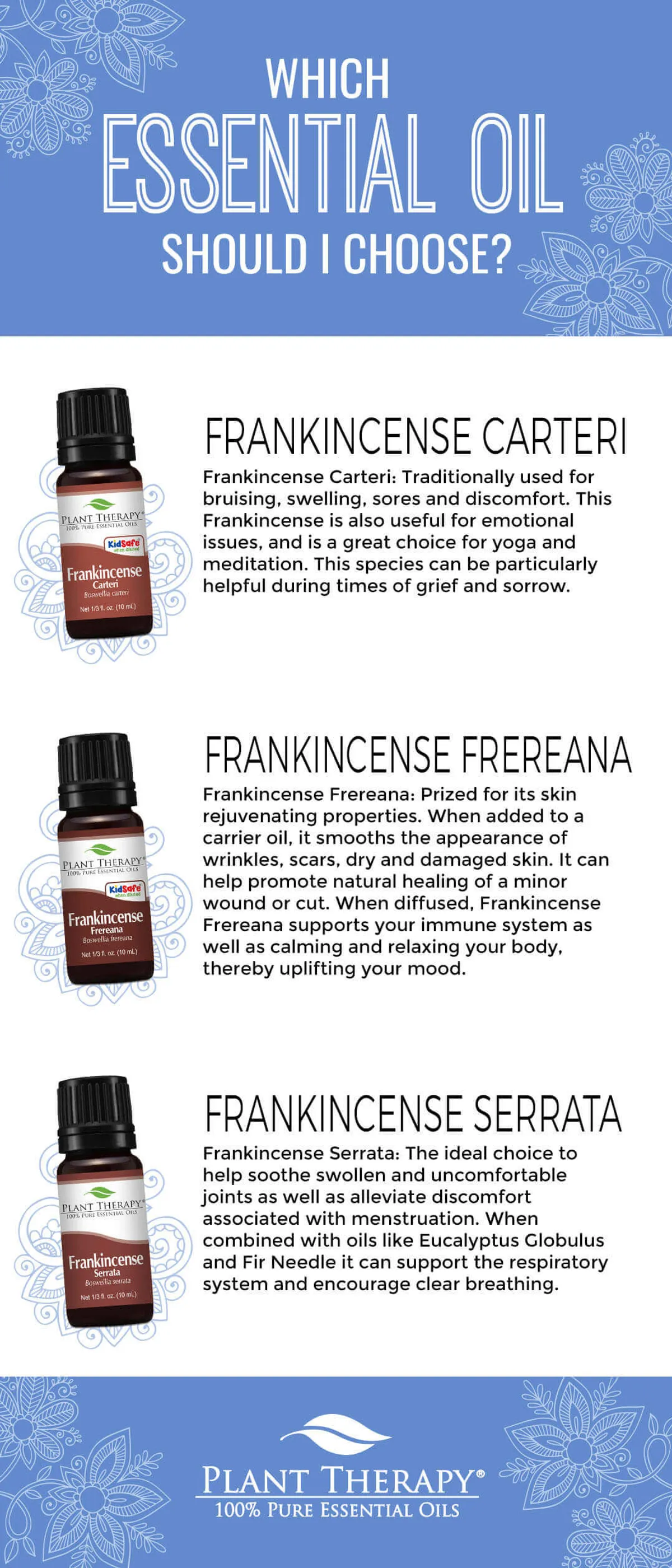 Frankincense Carteri Vs Frankincense Frereana Vs Frankincense Serrata Top 5 Ways To Use Frankincense Joy Of Oiling Plant Therapy Malaysia