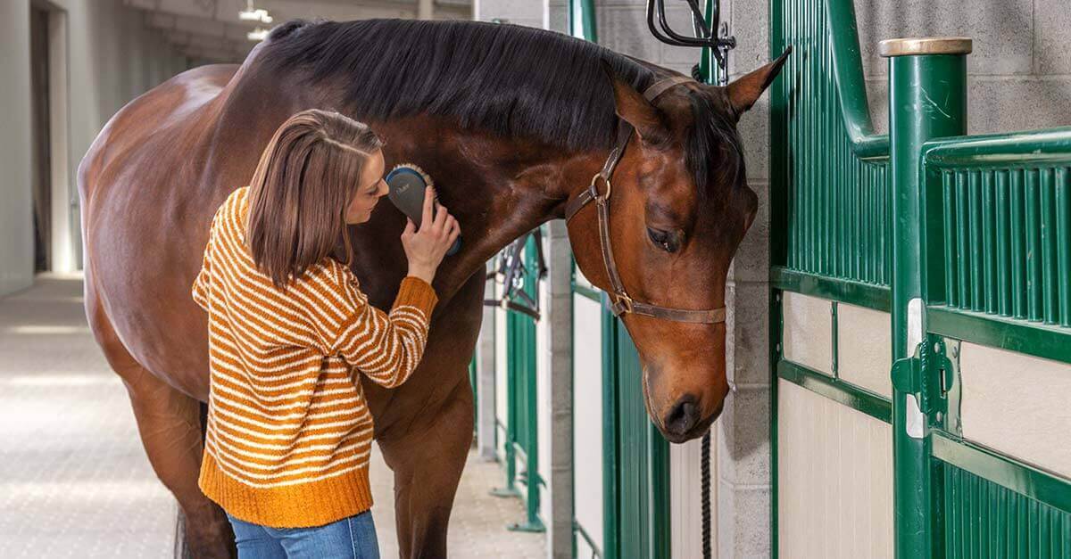 PlantTherapy-Pup_Pony-Pony-Lifestyle-0039.jpeg PlantTherapy-Pup_Pony-Pony-Lifestyle-0039.jpeg