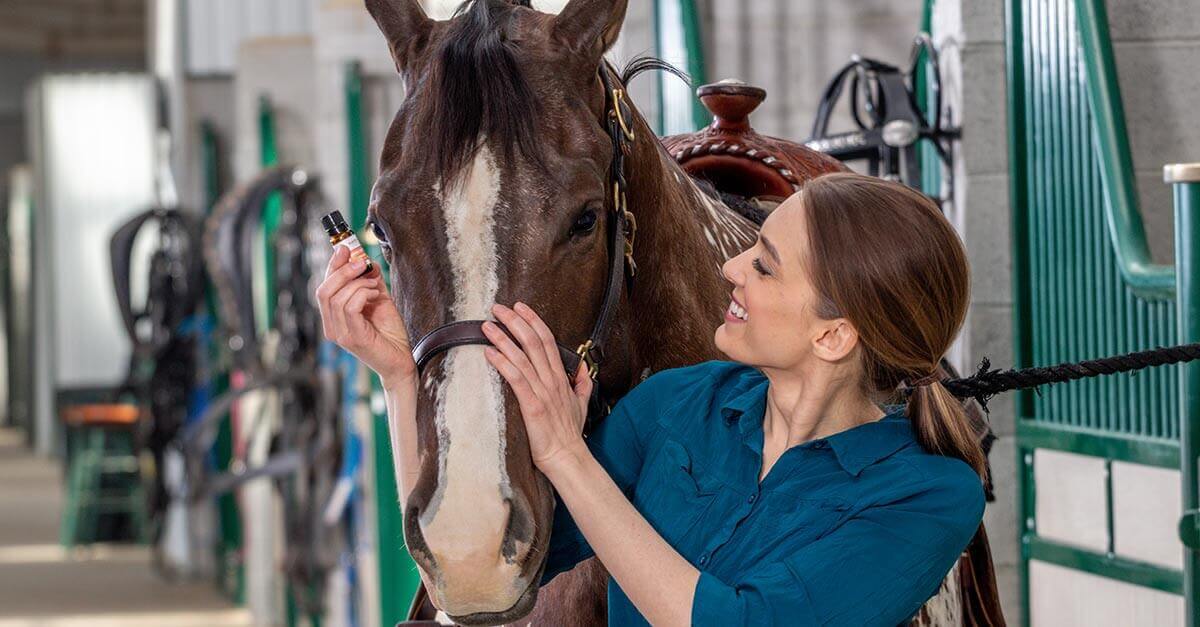 PlantTherapy-PupPony-Pony-Lifestyle-0246.jpeg PlantTherapy-PupPony-Pony-Lifestyle-0246.jpeg