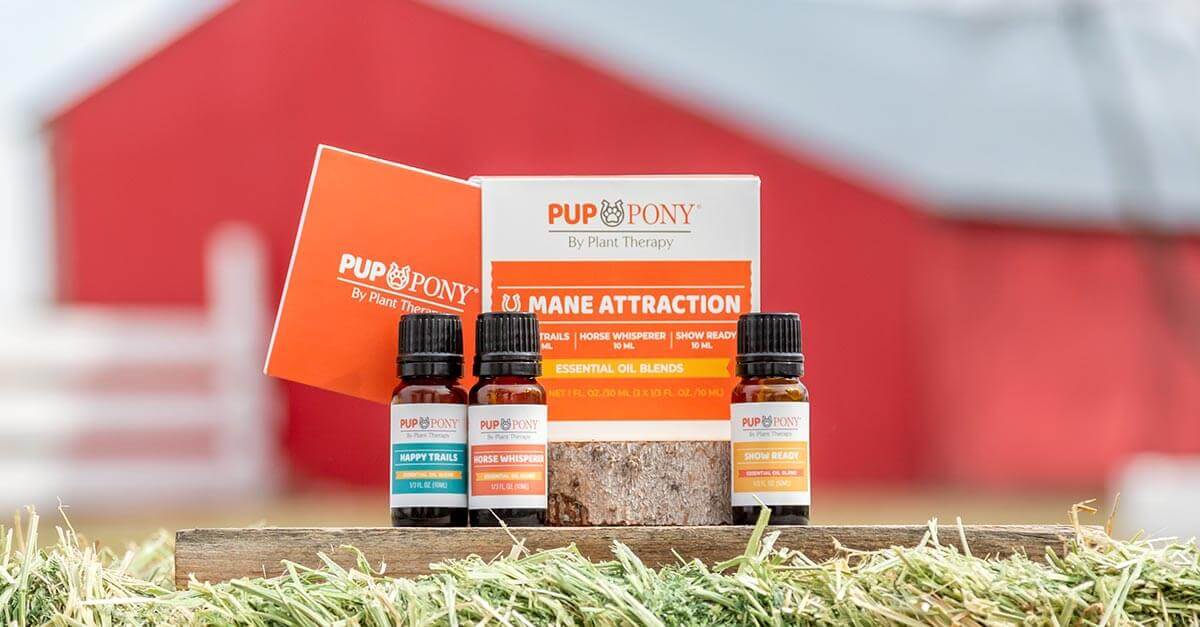 PlantTherapy-Pup_Pony-ManeAttraction-Outside-5298.jpeg PlantTherapy-Pup_Pony-ManeAttraction-Outside-5298.jpeg