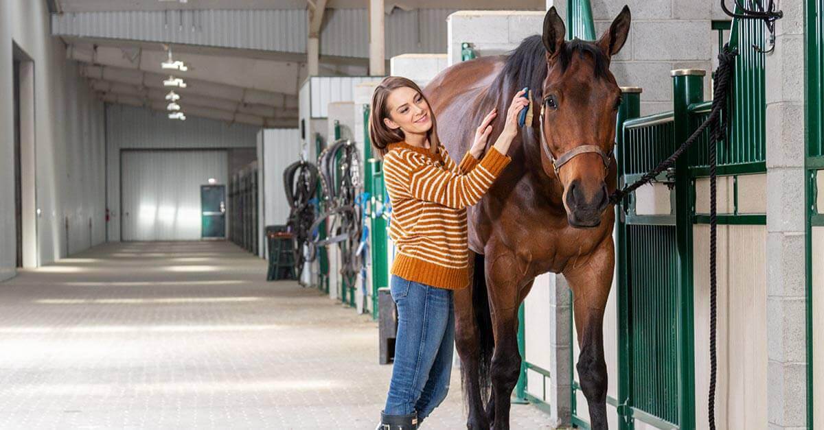 PlantTherapy-Pup_Pony-Pony-Lifestyle-0067.jpeg PlantTherapy-Pup_Pony-Pony-Lifestyle-0067.jpeg