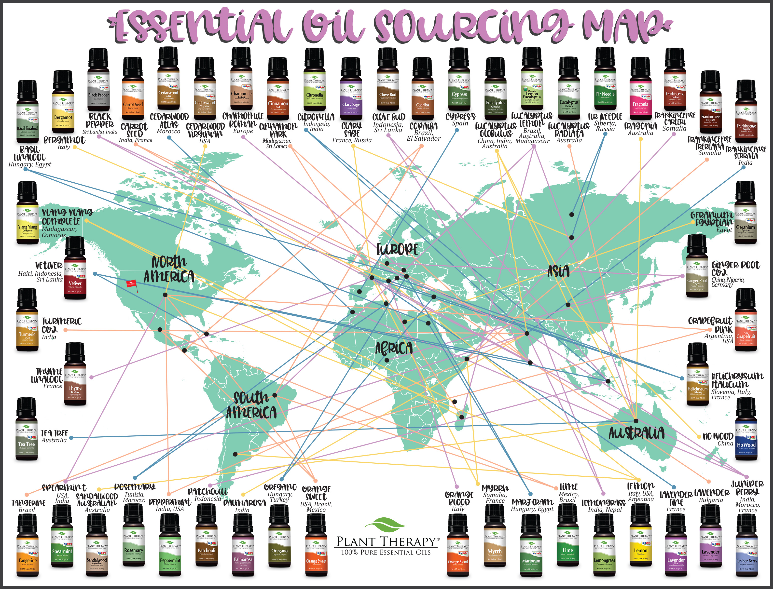 Essential Oil Sourcing Map – Joy of Oiling - Plant Therapy Malaysia