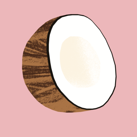 coconut_large.png