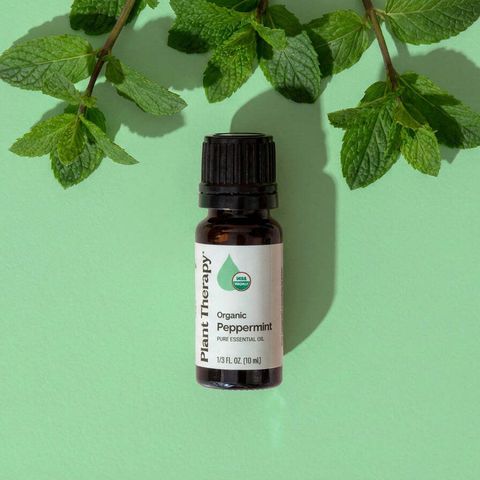 organic-peppermint-fresh-leaves2