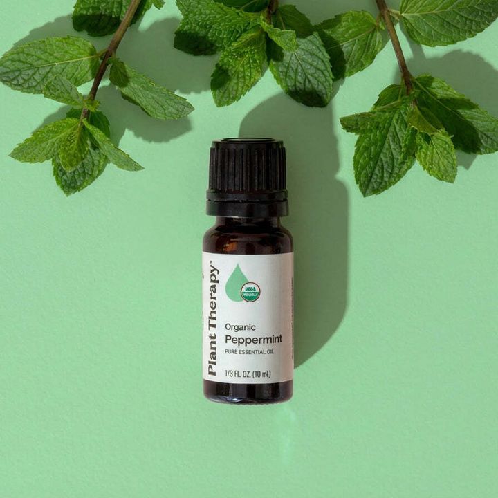 organic-peppermint-fresh-leaves2