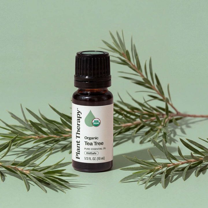 organic-tea-tree_20