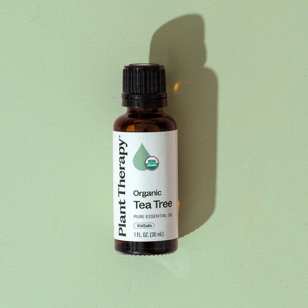 organic-tea-tree_6