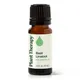 10 ml (1/3 oz)