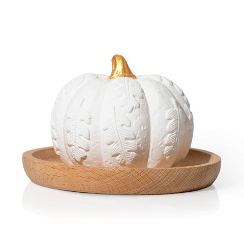 Pumkin_Passive_Diffuser-2026-ISO_jpg