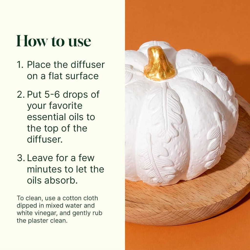 CopyofPumpkin_passive_diffuser-01_jpg