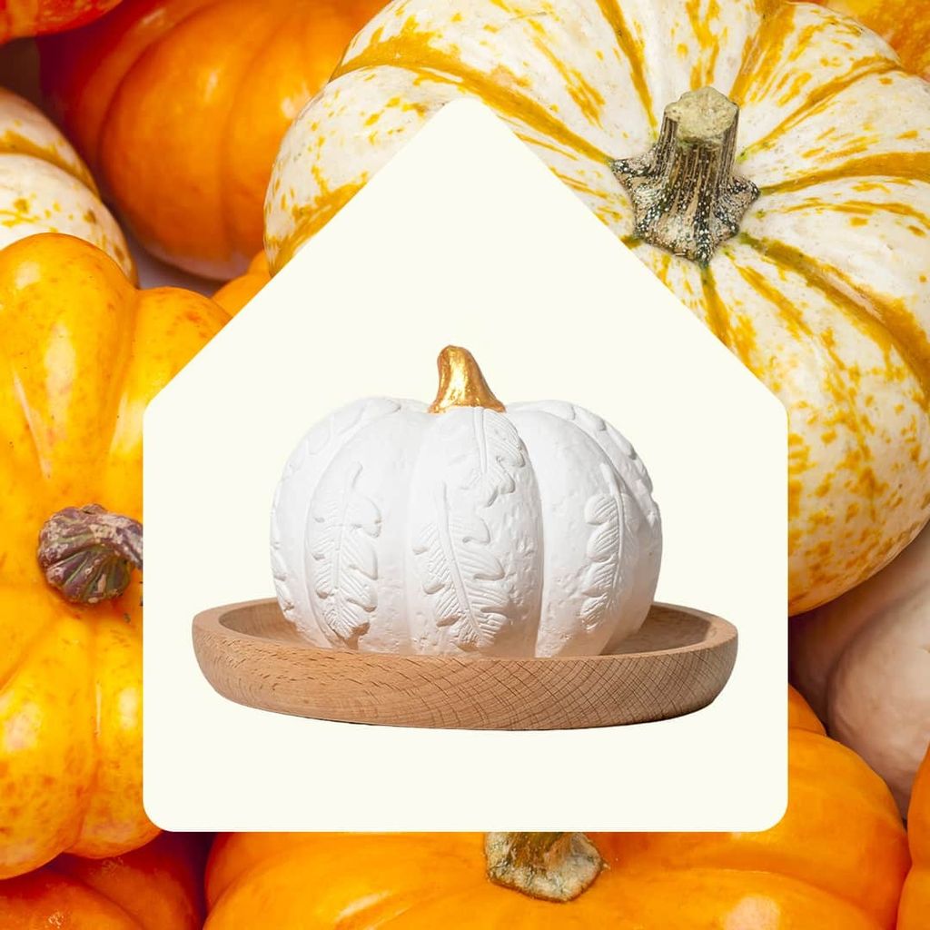 CopyofPumpkin_passive_diffuser-02_jpg