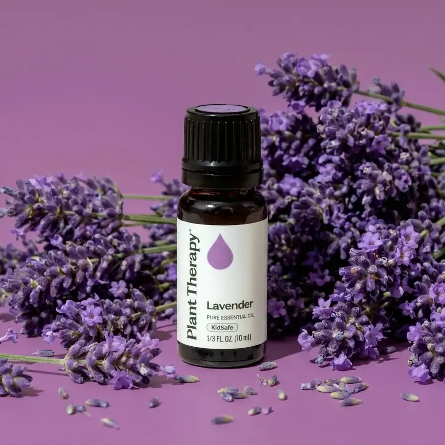 lavender-fresh-flowers-3
