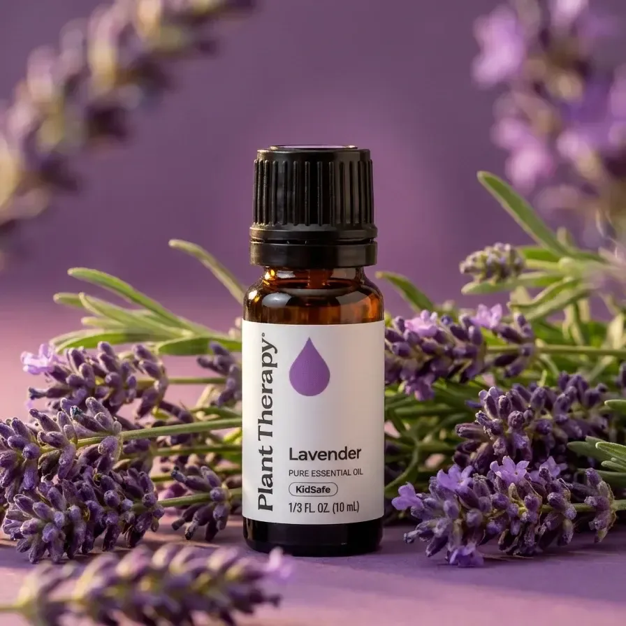 lavender-fresh-flowers2