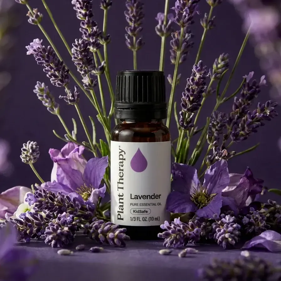 lavender-fresh-flowers