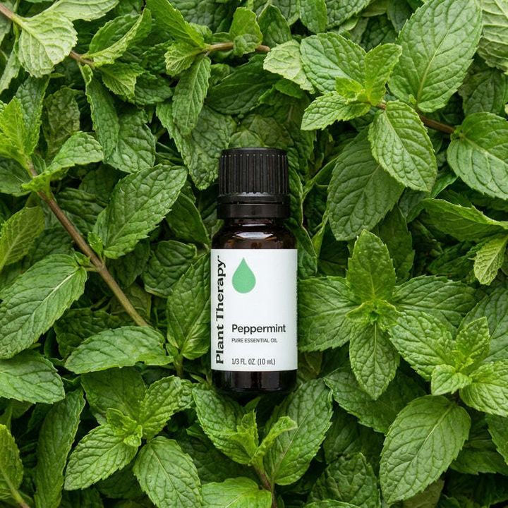 peppermint-fresh-leaves-5