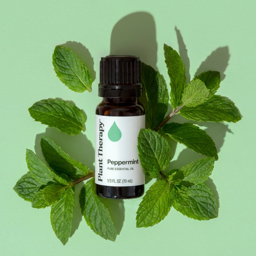 peppermint-fresh-leaves-6