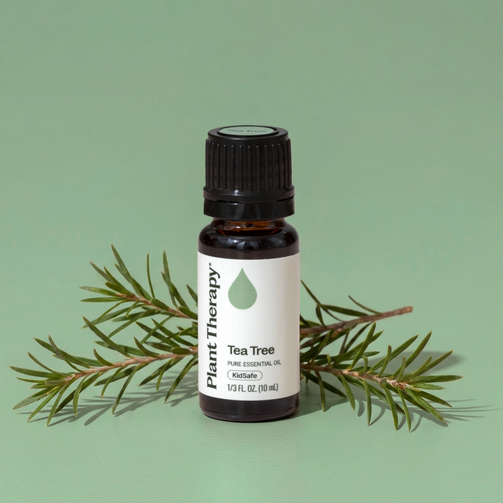 tea-tree-16