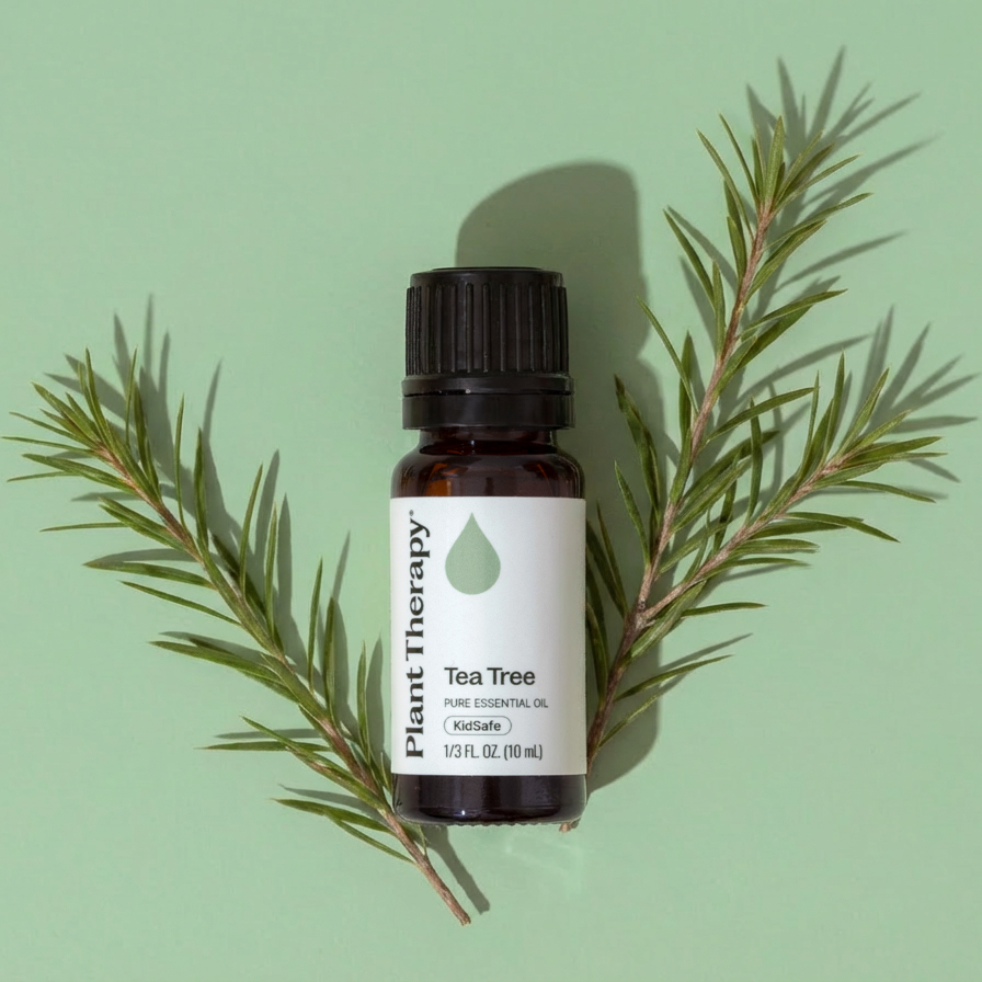 tea-tree-15