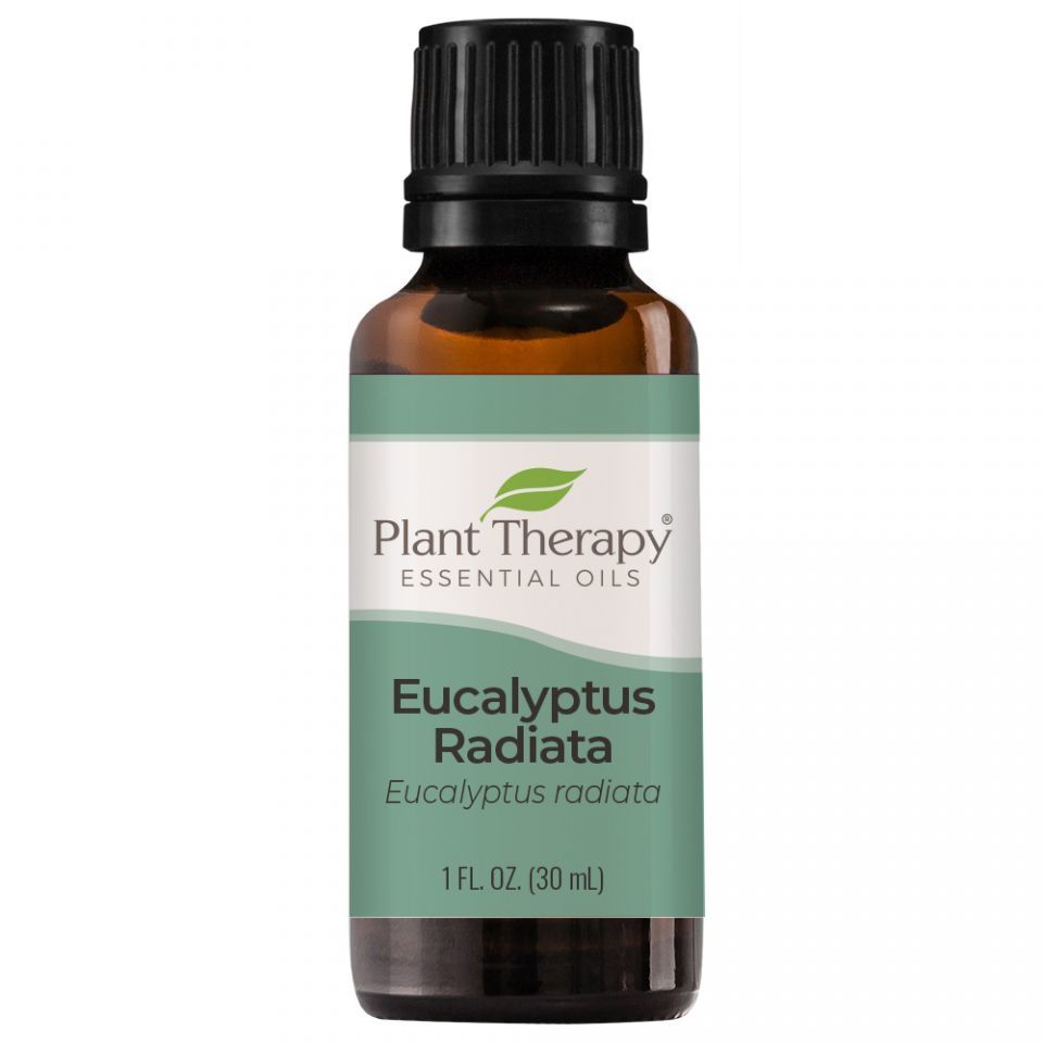 eucalyptus_radiata_eo-30ml-front_2_960x960.jpg