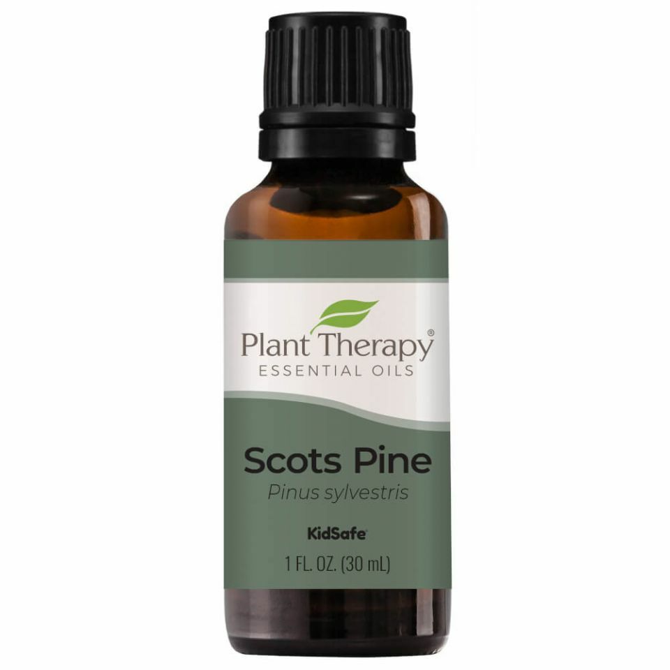 scots_pine_eo-30ml-front_2_960x960.jpeg