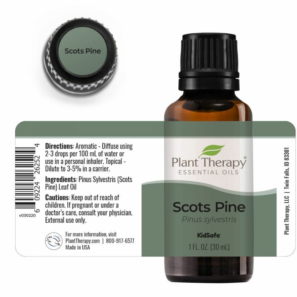 scots_pine_eo-30ml-stretch_top_2_960x960.jpeg