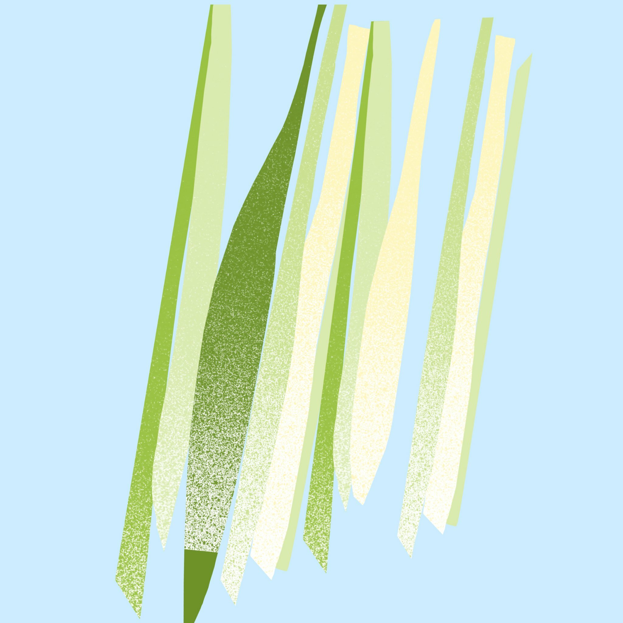 Lemongrass_square_2048x.jpg