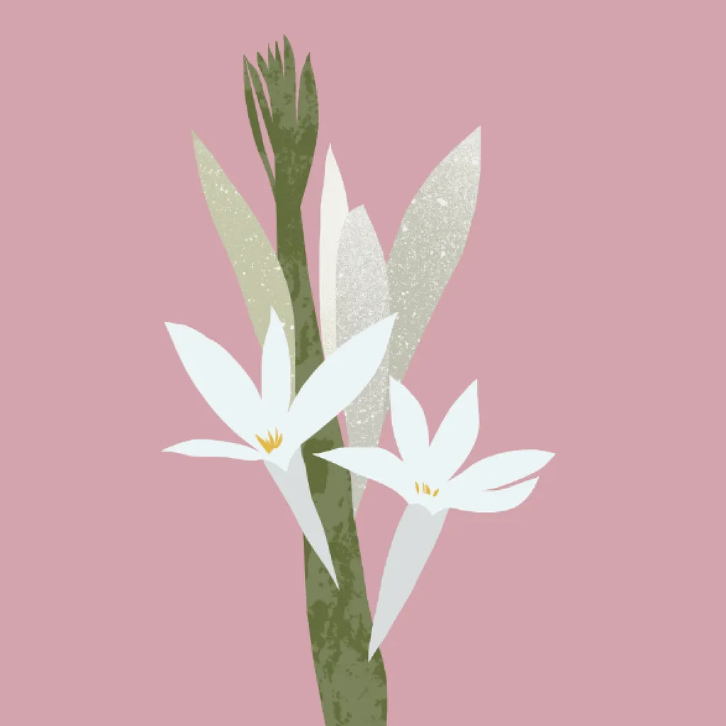 tuberose_square_2048x.png