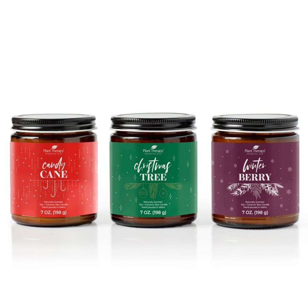holiday_candle_3_pack-21oz-01 (1)_960x960.jpeg