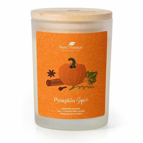 pumpkin_spice_naturally_scented_candle-8oz-01_960x960