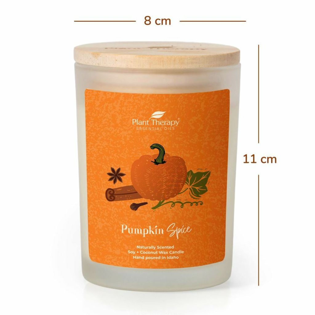 pumpkin_spice_naturally_scented_candle-8oz-04_960x960