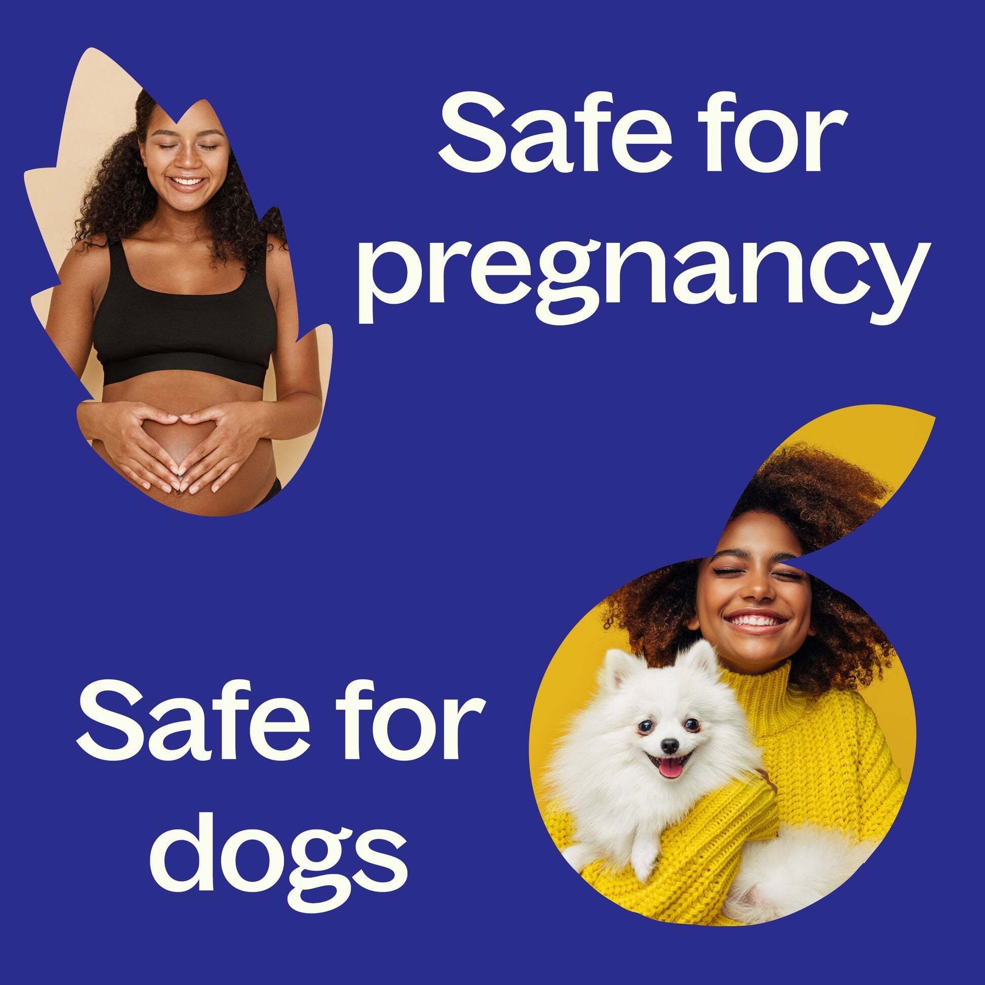 Safety-Pregnancy_Dogs_1946x