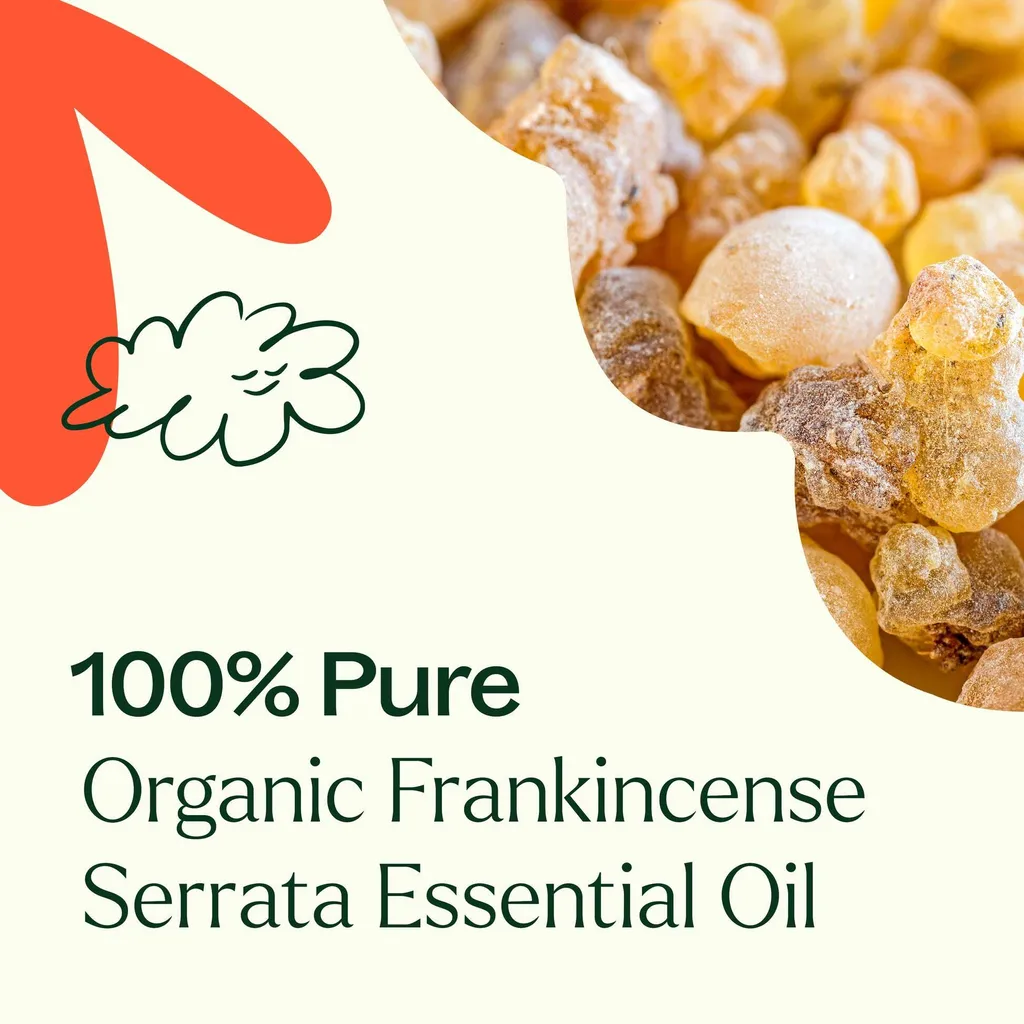 Organic_Frankincense_Serrata-03_1946x