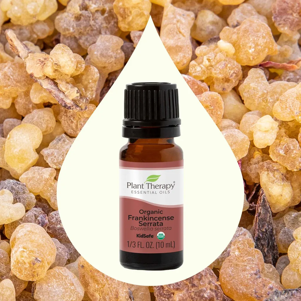 Organic_Frankincense_Serrata-02_1946x