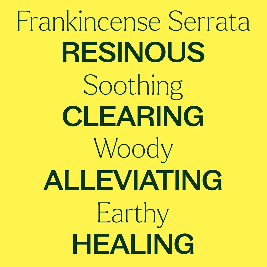 Organic_Frankincense_Serrata-04_1946x
