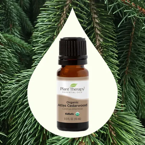 Organic_Atlas_Cedarwood-02_1946x