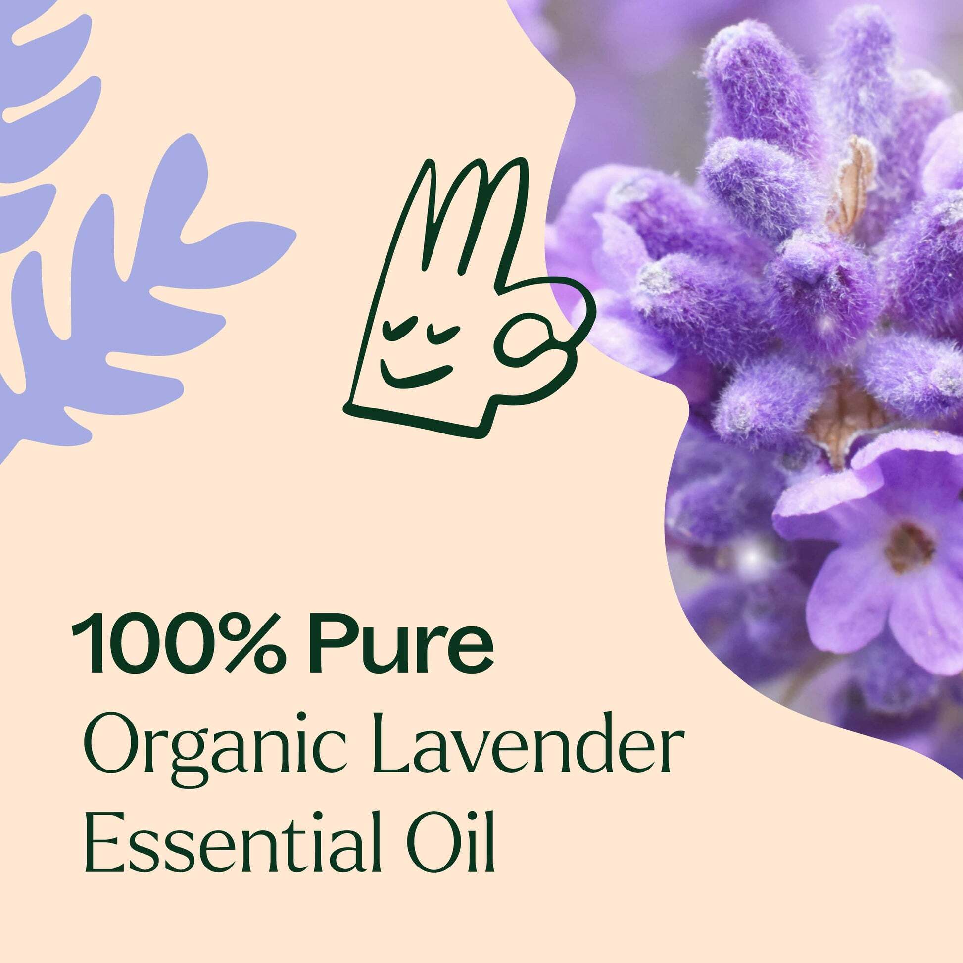 Organic_Lavender-03-min_1946x
