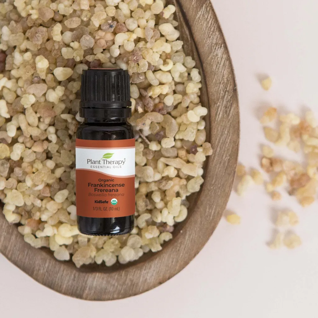 Organic_Frankincense_Frereana-Lifestyle_1946x