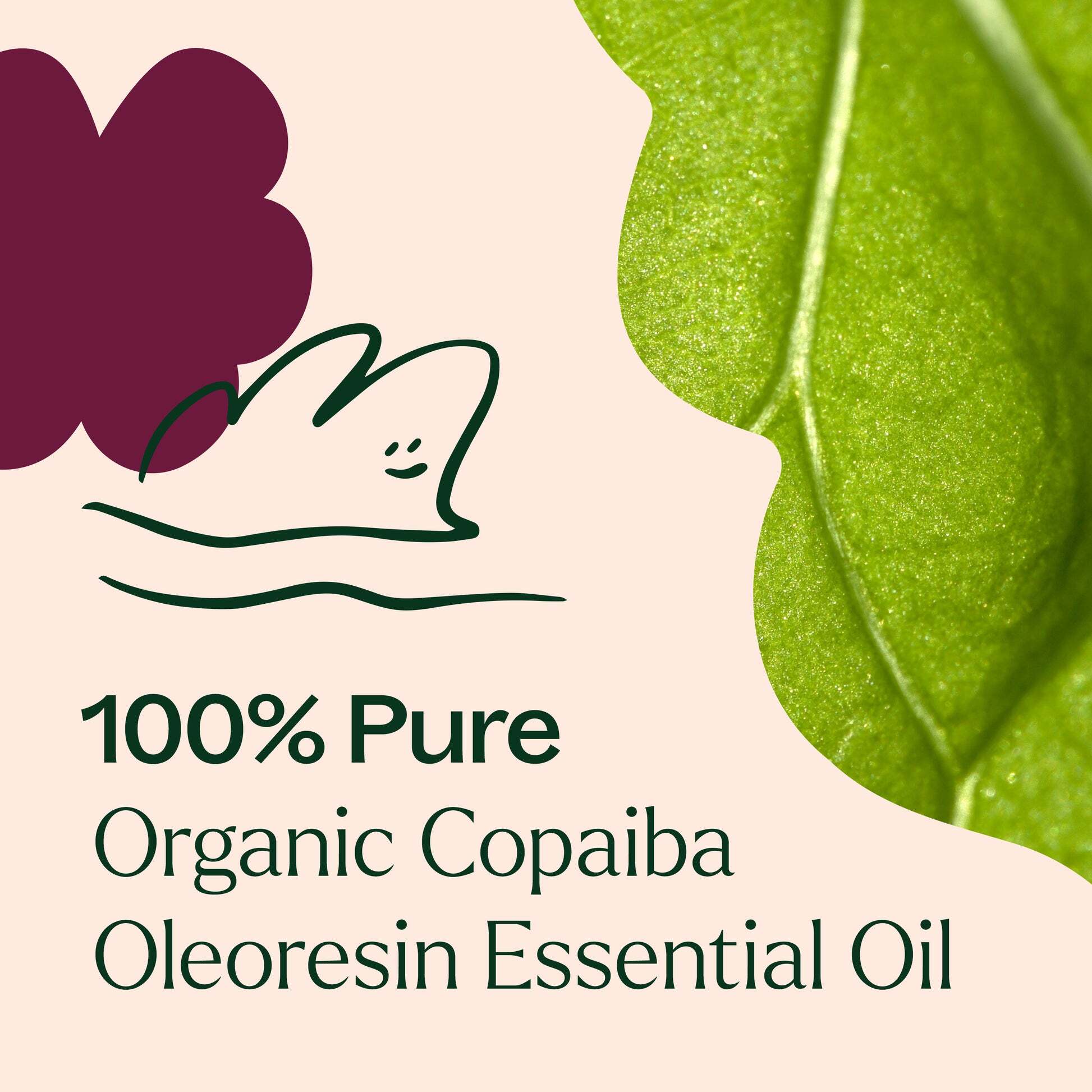 Organic_Copaiba_Oleoresin-03_1946x