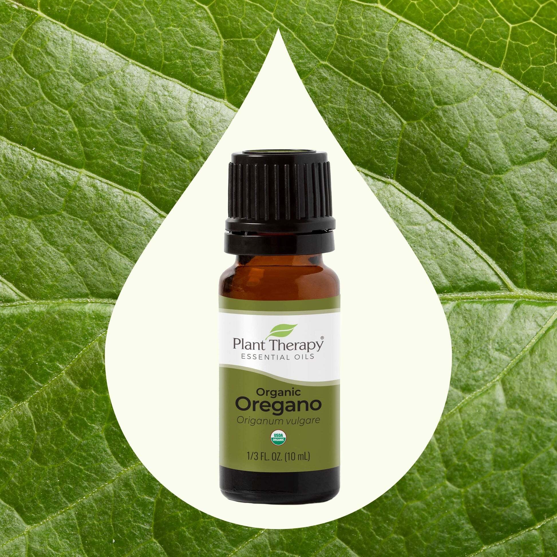 Organic_Oregano_10mL-02-min_1946x