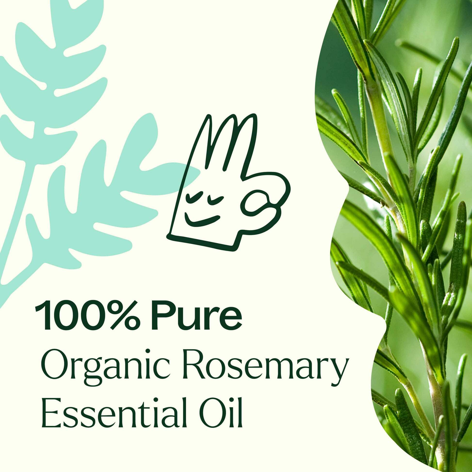 Organic_Rosemary-Product_Image-03-min_1946x