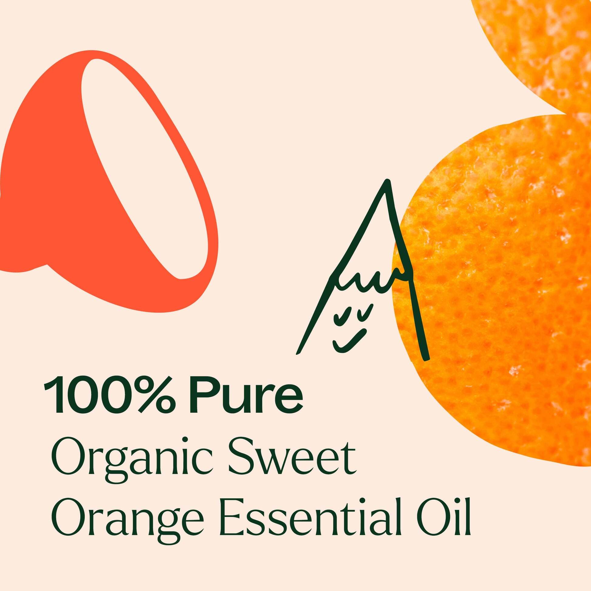 Organic_Sweet_Orange-03_1_-min_1946x