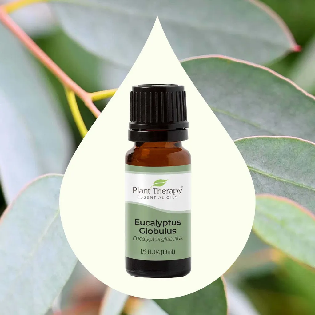 Eucalyptus_Globulus-02-10mLLarge_1946x