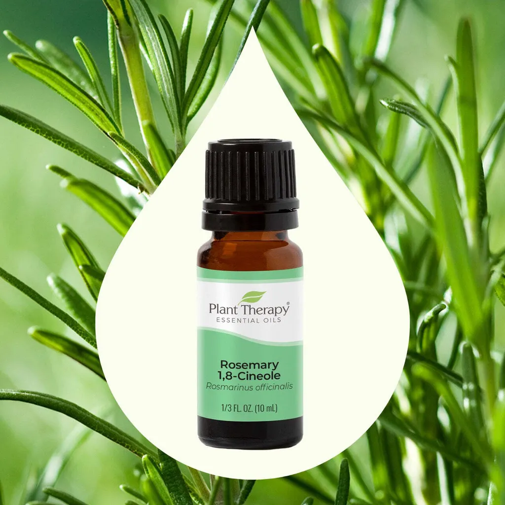 Rosemary-Product_Image-02Large_1946x
