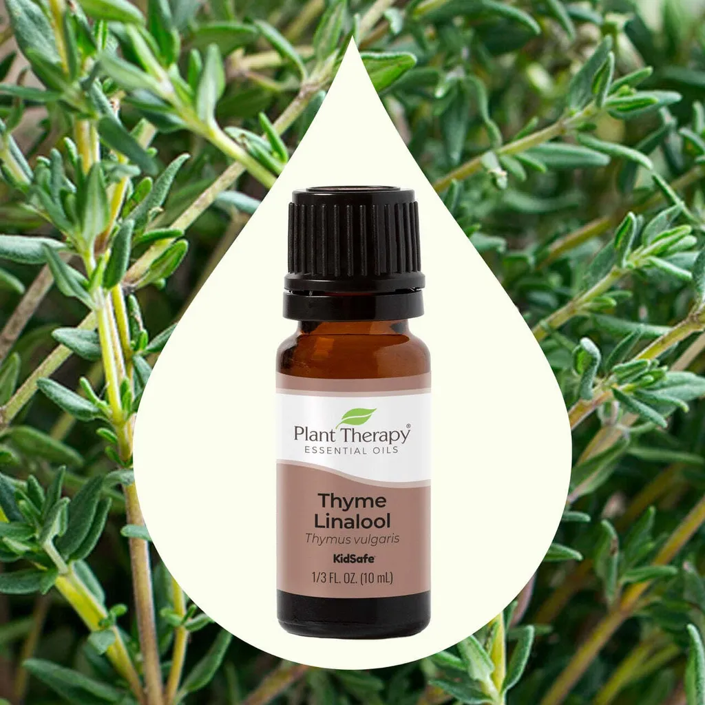 Thyme_Linalool_10mL-02Large_1946x