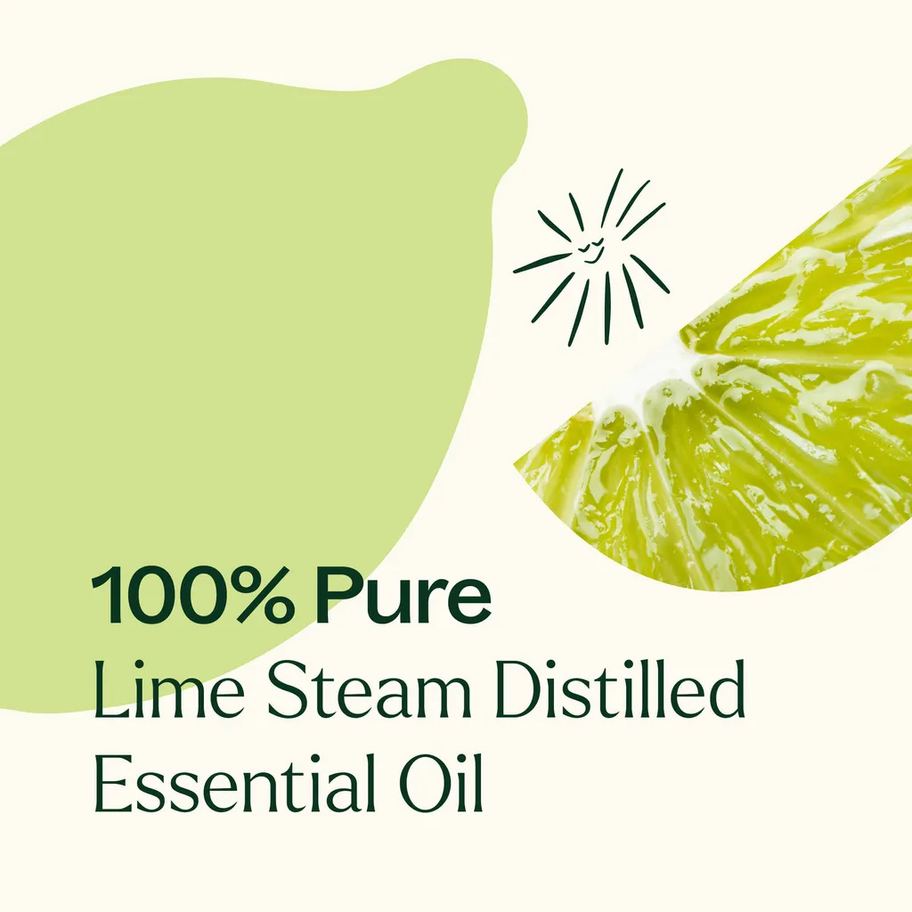Lime_SD-03